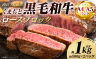 【A4～A5ランク】 くまもと黒毛和牛 ロース ブロック 約1kg （約500g×2パック） 和牛 牛肉 お肉 ロース 黒毛和牛 冷凍 焼肉 BBQ おかず ギフト 熊本県 八代市