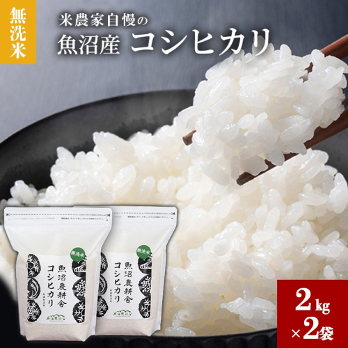 【令和8年産】 無洗米 米農家自慢の 魚沼産 コシヒカリ2kg×2袋 米 お米 こめ こしひかり 白米 無洗 新潟県 魚沼市 魚沼 2717561 - 新潟県魚沼市