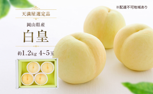 【天満屋選定品】岡山県産 白皇 約1.2kg 4～5玉（2026年発送） 2717605 - 岡山県玉野市