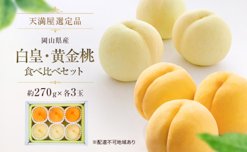 【天満屋選定品】岡山県産白皇・黄金桃食べ比べセット（約270g×各3玉）2026年発送 2717606 - 岡山県玉野市