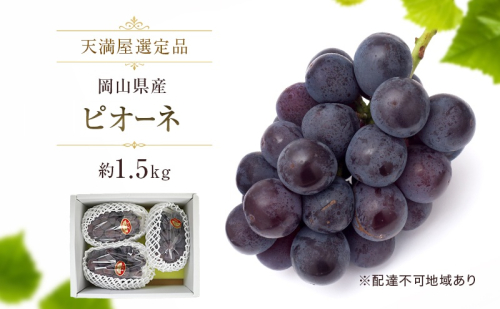 【天満屋選定品】岡山県産 ピオーネ 約1.5kg （2026年発送） 2717607 - 岡山県玉野市