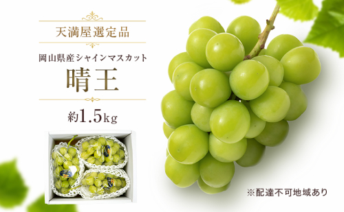 【天満屋選定品】岡山県産 シャインマスカット 晴王 約1.5kg（2026年発送） 2717608 - 岡山県玉野市