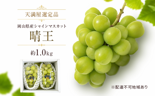【天満屋選定品】岡山県産 シャインマスカット 晴王 約1.0kg（2026年発送） 2717609 - 岡山県玉野市