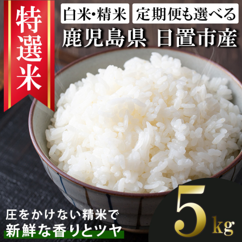 No.1372-A 鹿児島県産 精米 (5kg) 国産 九州産 鹿児島 お米 5kg 10kg 小分け 米 白米 おこめ ごはん ご飯 ライス 弁当 おにぎり 定期便 【新川園芸】 2717614 - 鹿児島県日置市