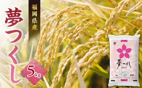 米 夢つくし 5kg 2717615 - 福岡県朝倉市