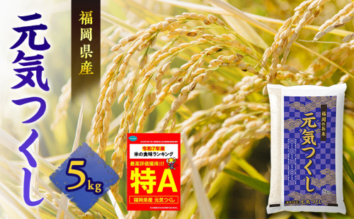 米 元気つくし 5kg 2717618 - 福岡県朝倉市