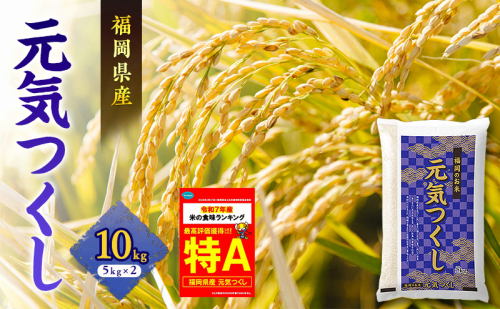 米 元気つくし 10kg 2717619 - 福岡県朝倉市