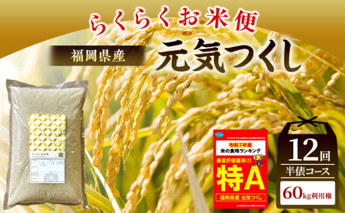 米 らくらくお米便 計60kg 元気つくし ( 5kg × 12回 ) 2717624 - 福岡県朝倉市