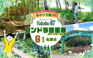 充実したアクティビティ！Hakuba47(ハクバフォーティーセブン)　ゴンドラ往復乗車券　小人1名様分チケット　【L0980736】