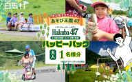 ゴンドラ・アクティビティを一日中楽しめる！Hakuba47(ハクバフォーティーセブン)　ハッピーパック　大人1名様　/　長野県白馬村【L0980738】