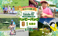 ゴンドラ・アクティビティを一日中楽しめる！Hakuba47(ハクバフォーティーセブン)　ハッピーパック　小人1名様　/　長野県白馬村【L0980739】