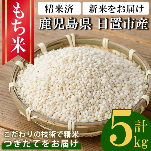 No.1373-B 鹿児島県産もち米 (5kg) 新米 国産 九州産 鹿児島 精米 小分け もちごめ おもち もち 餅 モチ 【新川園芸】 2717732 - 鹿児島県日置市