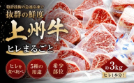 上州牛ヒレまるごと 約3kg |牛肉 ヒレ まるごと 霜降り 和牛 高級 ぜいたく 贅沢 特別 牛 すき焼き 炒め物 ブランド牛 上州牛 使いやすい 便利 長期保存 冷凍 ストック 群馬県 前橋市
