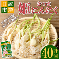 No.1374 鹿児島県産 さつま姫にんにく(20個×2袋・計40個) 国産 九州産 鹿児島 にんにく ひげにんにく ニンニク 調味料 【新川園芸】