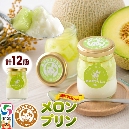 あきたプリン亭 メロンプリンセット 12個入り [手作り あきたプリン亭 ぷりん メロン お菓子 洋生菓子 洋菓子 高級 お取り寄せ スイーツ ギフト プレゼント 詰め合わせ] 2717816 - 秋田県仙北市