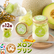 あきたプリン亭 メロンプリンセット 12個入り [手作り あきたプリン亭 ぷりん メロン お菓子 洋生菓子 洋菓子 高級 お取り寄せ スイーツ ギフト プレゼント 詰め合わせ]