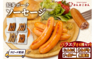 知多ポーク ソーセージバラエティ4種セット(にんにく・粗挽き・チョリソー・無添加)|ソーセージ ウインナー 豚肉 ブランド豚 自社ブランド豚 農場直営 知多ポーク おつまみ 朝食 ランチ BBQ バーベキュー お弁当 惣菜 冷凍 食べ比べ 真空パック 知多ピッグ とんとことん 愛知県 常滑市