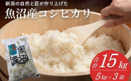 【コシヒカリ 15kg】令和7年産 魚沼産コシヒカリ 精米15kg（5kg×3袋）小千谷産 共栄農工社 | 魚沼産こしひかり 魚沼こしひかり 新潟県産コシヒカリ 新潟産コシヒカリ 新潟県産こしひかり こしひかり 新潟コシヒカリ お米 米 白米 精米 ブランド米 コメ 15キロ にいがた おぢや 新潟県 小千谷市 【0002-KY20】