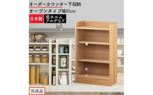 【完成品でお届け】オーダーカウンター下収納 オープンタイプ〔幅51cm〕（オーク）カウンター下収納 薄型 約 奥行22cm 高さ80cm チェスト オープンラック ロータイプ 収納 木製 スリム KKANRA945150-51-OAK 2718756 - 和歌山県海南市