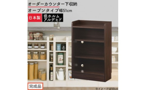 【完成品でお届け】オーダーカウンター下収納 オープンタイプ〔幅51cm〕（ウォールナット）カウンター下収納 薄型 約 奥行22cm 高さ80cm チェスト オープンラック ロータイプ 収納 木製 KKANRA945150-51-WAL 2718757 - 和歌山県海南市
