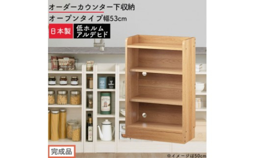 【完成品でお届け】オーダーカウンター下収納 オープンタイプ〔幅53cm〕（オーク）カウンター下収納 薄型 約 奥行22cm 高さ80cm チェスト オープンラック ロータイプ 収納 木製 スリム KKANRA945152-53-OAK 2718764 - 和歌山県海南市