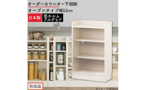 【完成品でお届け】オーダーカウンター下収納 オープンタイプ〔幅53cm〕（ホワイトウッド）カウンター下収納 薄型 約 奥行22cm 高さ80cm チェスト オープンラック ロータイプ 収納 木製 KKANRA945152-53-WWO 2718767 - 和歌山県海南市