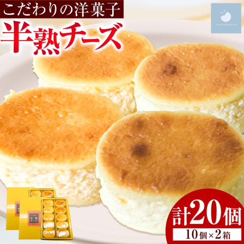 半熟チーズケーキ 計20個(10個×2箱) こだわり半熟チーズ 菓心 徳丸屋《30日以内に出荷予定(土日祝除く)》 鹿児島県 さつま町 冷凍 スイーツ 洋菓子 デザート おやつ 濃厚 なめらか ご褒美 お取り寄せ 2718995 - 鹿児島県さつま町