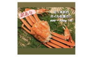 ＜11月中旬以降順次発送＞訳あり足1本折れボイル松葉ガニ(600～700gを1枚)　OM-31【1745696】