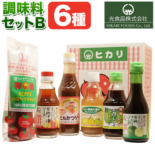有機 調味料セット B 6種 光食品 株式会社 《30日以内出荷予定(土日祝除く)》無添加 調味料 バラエティーセット 中農ソース とんかつソース ケチャップ ドレッシング ノンオイル 無農薬栽培 徳島県 上板町 st-p 2719416 - 徳島県上板町