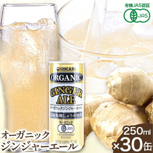ジンジャーエール 250ml×30缶 光食品株式会社《30日以内に出荷予定(土日祝除く)》徳島県 上板町 ジュース 炭酸水 光食品 ジンジャーエール オーガニック 有機 st-p 2719417 - 徳島県上板町