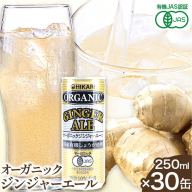 ジンジャーエール 250ml×30缶 光食品株式会社《30日以内に出荷予定(土日祝除く)》徳島県 上板町 ジュース 炭酸水 光食品 ジンジャーエール オーガニック 有機 st-p