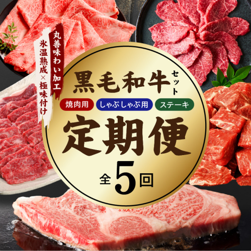 【定期便】黒毛和牛 定期便8万円コース【小分け 焼肉 しゃぶしゃぶ ステーキ 簡単調理 BBQ 牛肉 黒毛和牛 味付き】 mrzZ105 2719459 - 大阪府泉佐野市