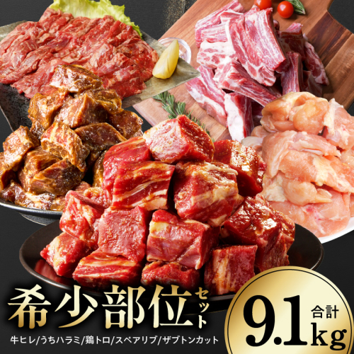 【氷温熟成×極味付け/特製ダレ】希少部位セット 合計9.1kg【小分け 希少部位 ヒレ 鶏肉 スペアリブ はらみ ハラミ 牛肉 焼肉 BBQ 簡単調理 味付き】 mrz0505 2719461 - 大阪府泉佐野市
