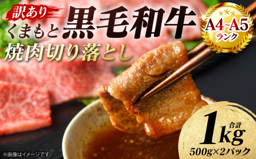 【訳あり】 【A4～A5ランク】 くまもと黒毛和牛 焼肉 切り落とし 1kg （500g×2パック） 肩ロース バラ 牛肉 お肉 黒毛和牛 冷凍 焼肉 BBQ おかず 熊本県 八代市 2719529 - 熊本県八代市