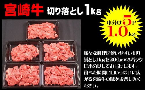 宮崎牛切り落とし　1Kg（200g×5p）_A0058-002 2719532 - 宮崎県綾町