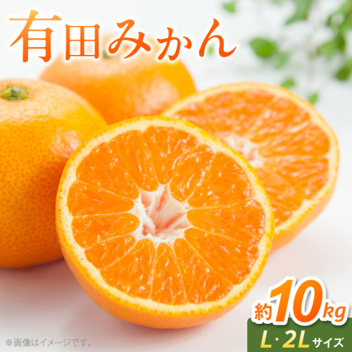 《2026年11月中旬～2027年1月中旬頃に順次発送予定》【2026年先行予約】有田みかん　L,2Lサイズ混合　約10kg_BF6069 2719576 - 和歌山県湯浅町