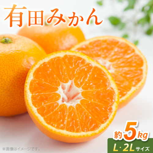 《2026年11月中旬～2027年1月中旬頃に順次発送予定》【2026年先行予約】有田みかん　L,2Lサイズ混合　約5kg_BF6070 2719577 - 和歌山県湯浅町