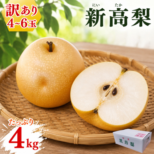 ＜2026年9月下旬頃より出荷予定＞　≪訳あり品（変形 キズあり）≫　新高梨 4～6玉（約 4kg） 2719578 - 高知県佐川町