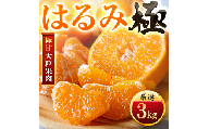 【先行受付】【果汁あふれる】とろ甘食感 はるみ　3kg　愛媛県産【49-122】ふるさと納税 みかん  柑橘 果物 フルーツ おすすめ はるみ 春見 甘い 3kg 4kg 5kg 10kg 愛媛県 八幡浜市 【1756045】 YWTZ089