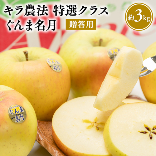 1～3月 完熟りんご ぐんま名月 約3kg 贈答用 特選クラス【青森りんご・平川市広船産・1月・2月・3月】【hi-0008-019】 2719754 - 青森県平川市