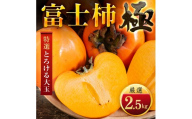 【先行受付】【年内発送!】肉厚濃蜜 富士柿　2.5kg　愛媛県産【49-124】ふるさと納税 柿 かき 富士柿 フルーツ カキ 果物  2.5kg 3.5kg 6kg 12kg 愛媛県 八幡浜市 【1756043】 YWTZ096