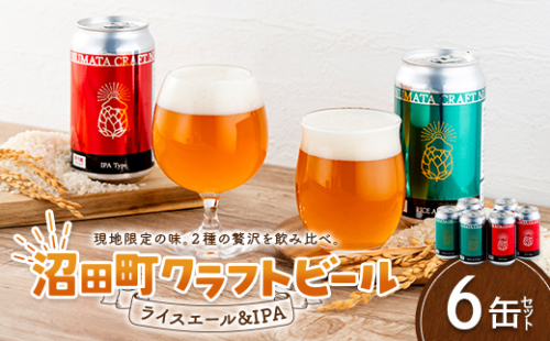 沼田町クラフトビール飲み比べセット IPA ライスエール 6缶（各種3缶） 地ビール ビール 酒 アルコール アルコール飲料 沼田町 北海道 n-0266 2720060 - 北海道沼田町