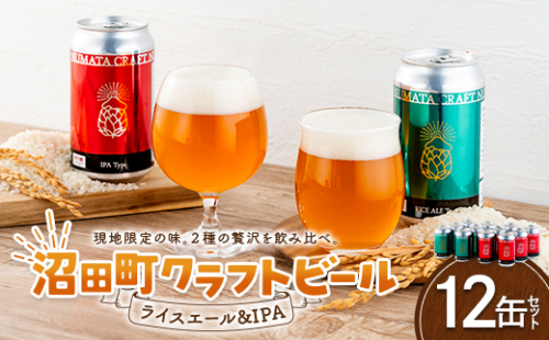 沼田町クラフトビール飲み比べセット IPA ライスエール 12缶（各種6缶） 地ビール ビール 酒 アルコール アルコール飲料 沼田町 北海道 n-0267 2720062 - 北海道沼田町