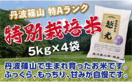 新米予約 令和８年産〈スピード出荷〉【特Aランク】 丹波篠山産 特別栽培米 コシヒカリ 〈小分け〉 5kg × 4袋 計 20kg〈食味値83点以上〉特別栽培米 減農薬栽培 精米したて 阪本屋 兵庫県 丹波篠山市 こしひかり 米 精米 白米