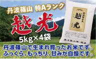 新米予約 令和８年産〈スピード出荷〉【特Aランク】 丹波篠山産 コシヒカリ 精米 5kg × 4袋 計 20kg《食味値83点以上》精米したて 阪本屋 兵庫県 丹波篠山市 こしひかり 米 精米 白米