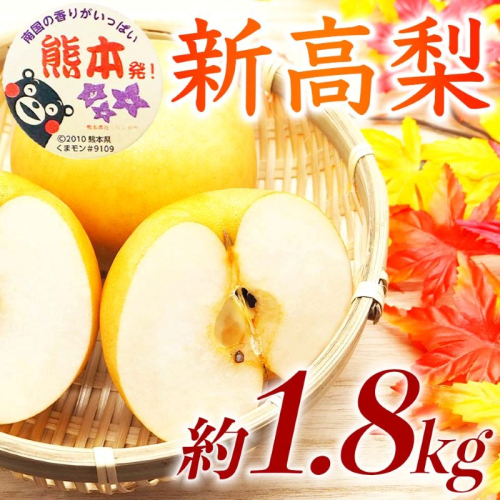 【amazon価格】新高梨 約1.8kg（5～8玉）【梨 なし 果物 フルーツ デザート 食後 熊本県産】※配送不可：離島 2720415 - 熊本県錦町