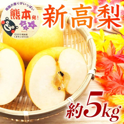【amazon価格】新高梨 約5kg（6～16玉）【梨 なし 果物 フルーツ デザート 食後 熊本県産】※配送不可：離島 2720417 - 熊本県錦町