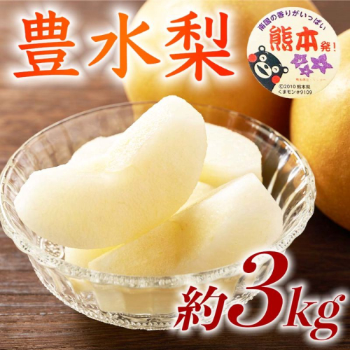 【amazon価格】豊水梨 約3kg（4～12玉）【梨 なし 果物 フルーツ デザート 食後 熊本県産】※配送不可：離島 2720424 - 熊本県錦町
