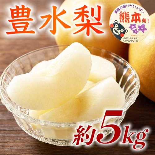 【amazon価格】豊水梨 約5kg（6～18玉）【梨 なし 果物 フルーツ デザート 食後 熊本県産】※配送不可：離島 2720425 - 熊本県錦町
