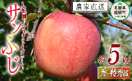 りんご サンふじ 秀 〜 特秀 5kg 山岸ファーム 沖縄県への配送不可 2026年12月上旬頃から2026年12月下旬頃まで順次発送予定 令和8年度収穫分 信州 果物 フルーツ リンゴ 林檎 長野 予約 農家直送 長野県 飯綱町 [1152]